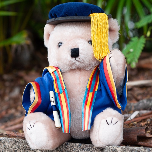 CQUniversity Graduation Bear