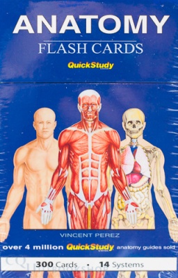 QuickStudy Flash Cards ( Anatomy )