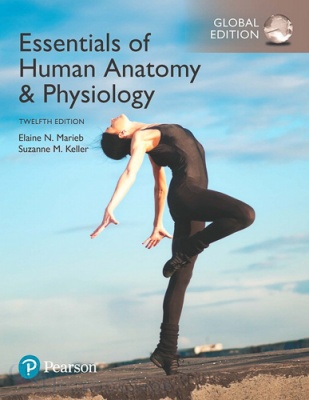 Essentials of Human Anatomy & Physiology ( Book Only )