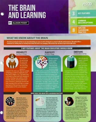 The Brain and Learning ( Quick Reference Guide )