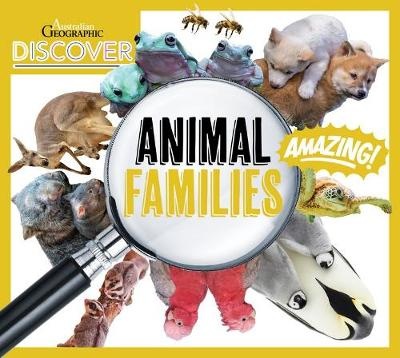 Discover : Animal Families