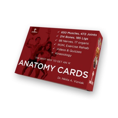Anatomy Flash Cards ( accompanies the Muscle Manual )